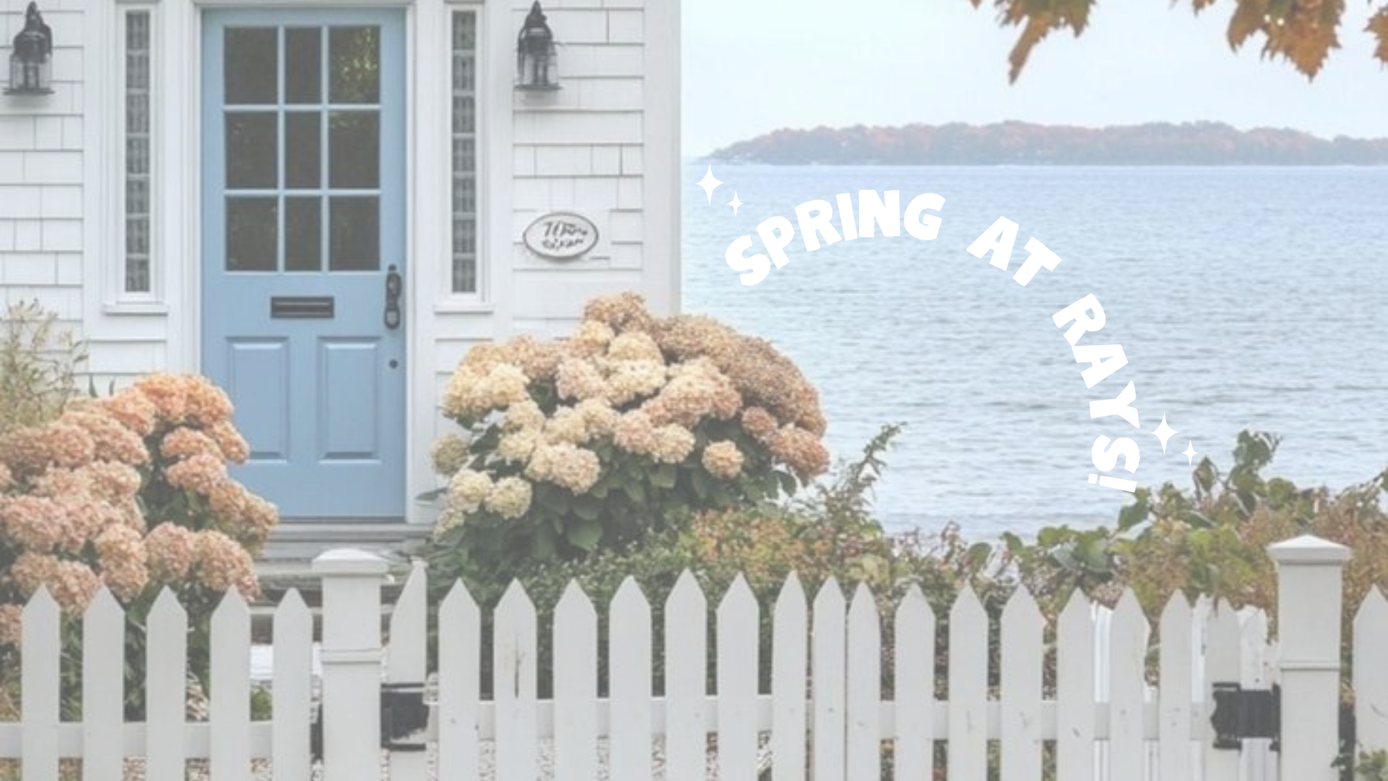 SPRING AT RAYS